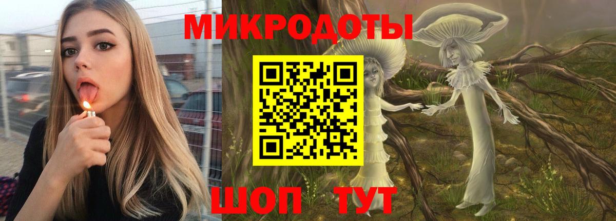 Псилоцибиновые грибы мухоморы Гусиноозёрск