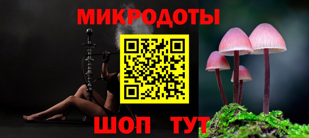 Псилоцибиновые грибы Psilocybe  Вход с VPN  купить наркотик  Гусиноозёрск 